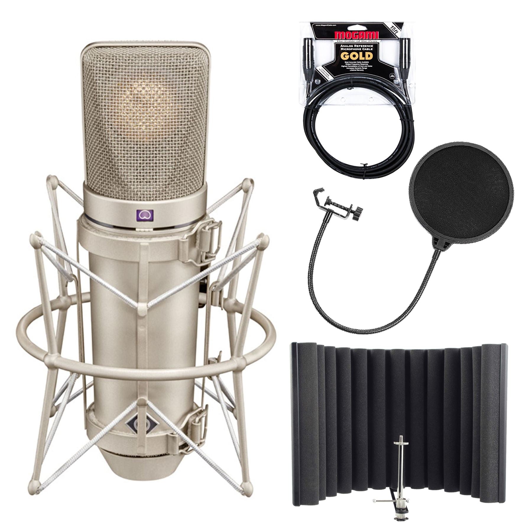 gold recording studio microphone