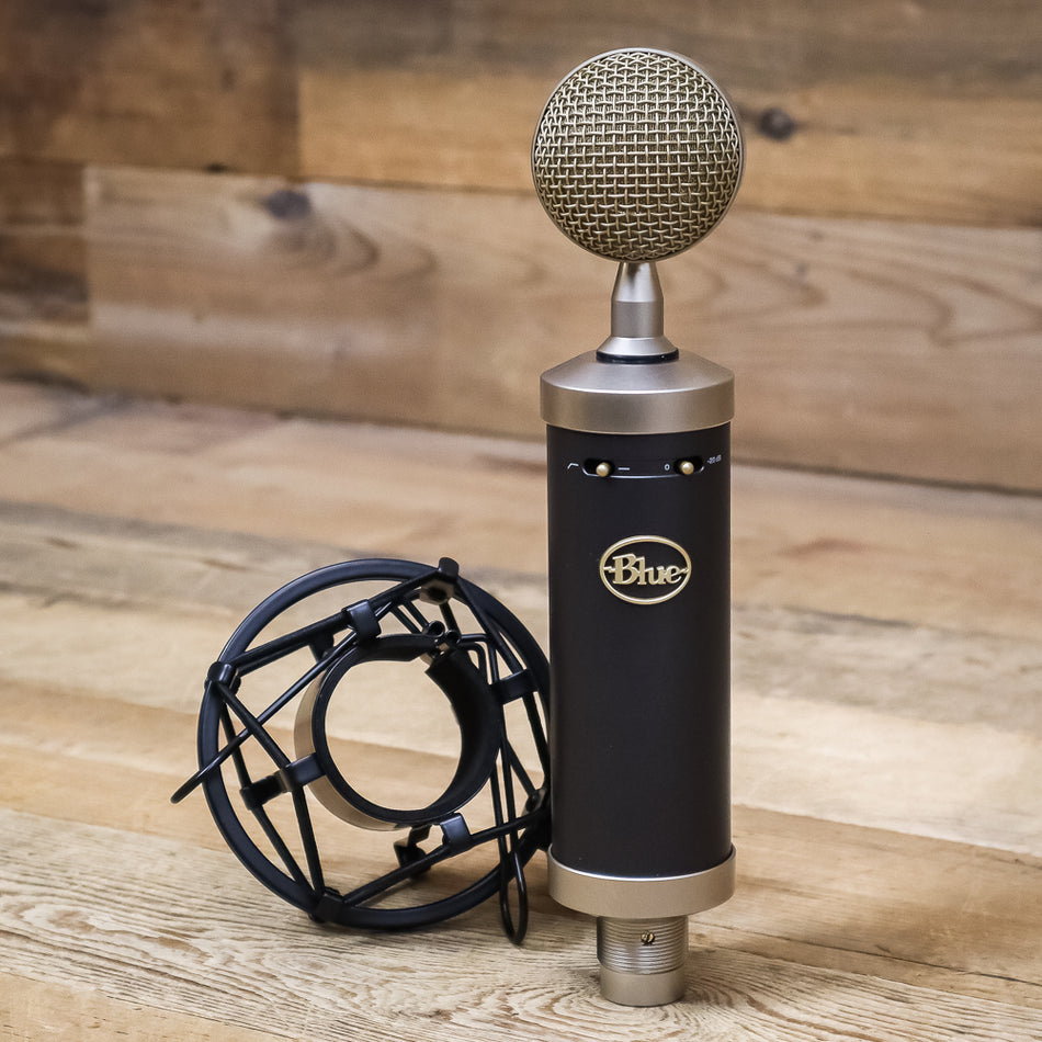 Blue Microphones Baby Bottle SL Studio Condenser Microphone